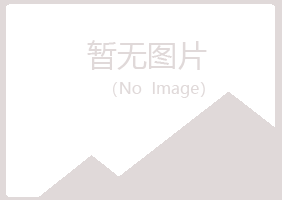 兴安区紫山建设有限公司